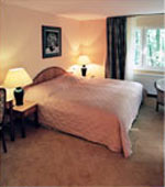 Hotel Seerose
