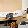 Aleppo Hostel Hostel